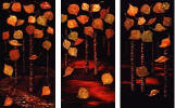 set of 3 contemporary canvas wall art