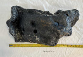 back side of bonsai pot