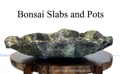 bonsai pots and slabs for sale