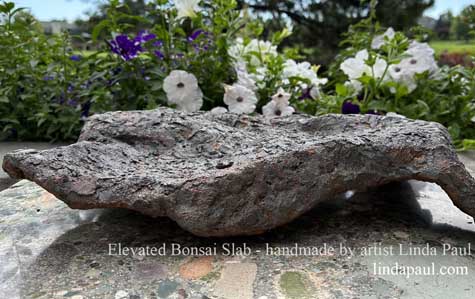 bonsai pots and slabs for sale