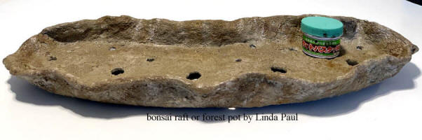 bonsai pot for raft or forest