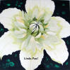 see artist Linda Paul's latest painting in progress