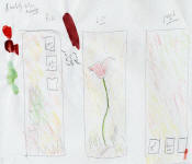 sketch for poppy paintings