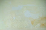 rooster painting step 1