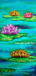 water lilies flower painting