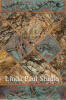 backsplash design idea with geckos and dragonflies tiles