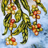 coffee beans on vine