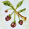 raspberry accent tile