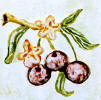 cherries accent tile