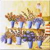 flower market