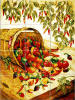 Kitchen Backsplashes of Peppers