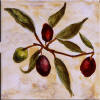 decorative tile border