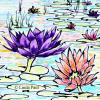 water lilies accent tile