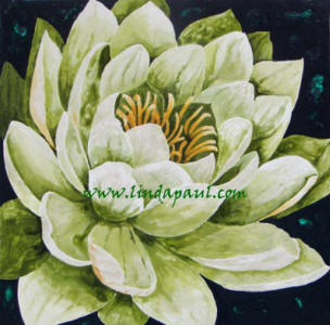  lotus flower painting
