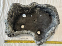 top view