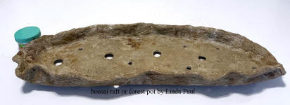 raft forest bonsai pot