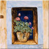 window and flower pot tile