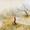 olive tree accent tiles