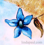 blue flower tile accent